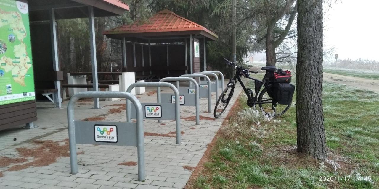 Dubicze Cerkiewne Bialowieza Spanie Na Sianie Puszcza Bialowieska מראה חיצוני תמונה