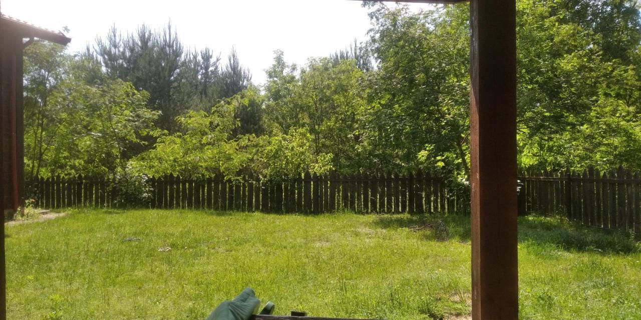 Dubicze Cerkiewne Bialowieza Spanie Na Sianie Puszcza Bialowieska מראה חיצוני תמונה